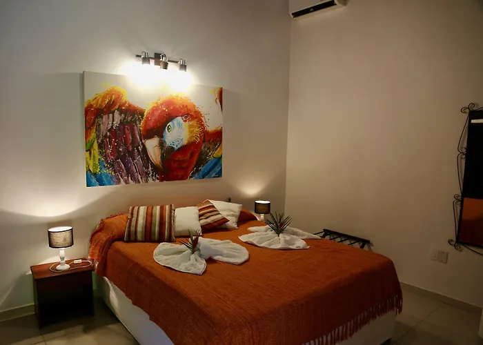 Pousada Oasis Praia de Pipa